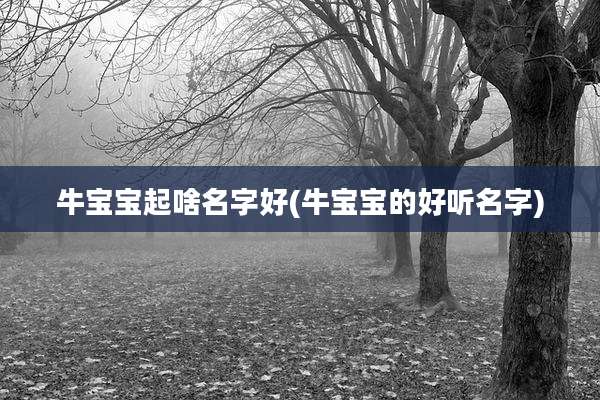 牛宝宝起啥名字好(牛宝宝的好听名字)