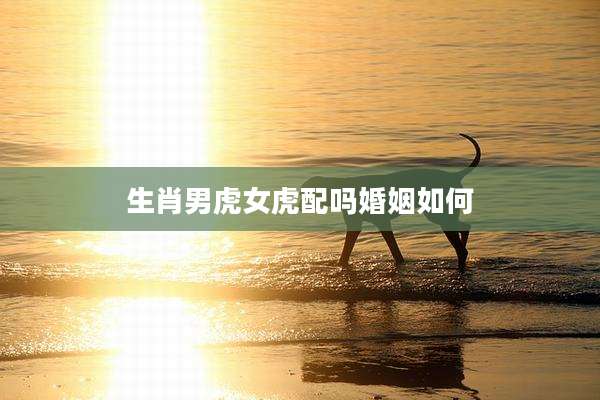 生肖男虎女虎配吗婚姻如何