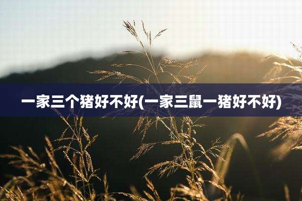 一家三个猪好不好(一家三鼠一猪好不好)