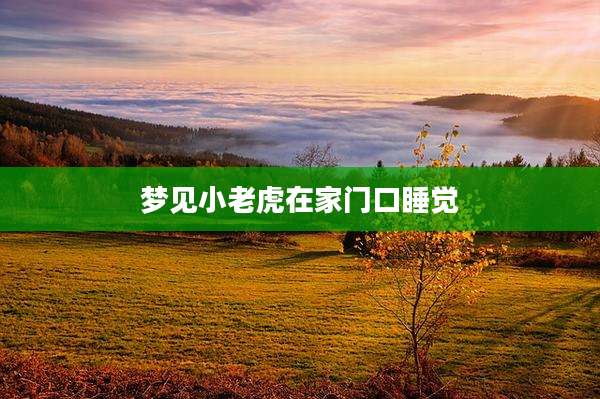 梦见小老虎在家门口睡觉