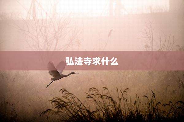 弘法寺求什么