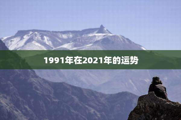 1991年在2021年的运势