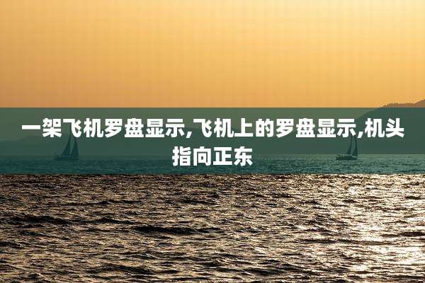 一架飞机罗盘显示,飞机上的罗盘显示,机头指向正东