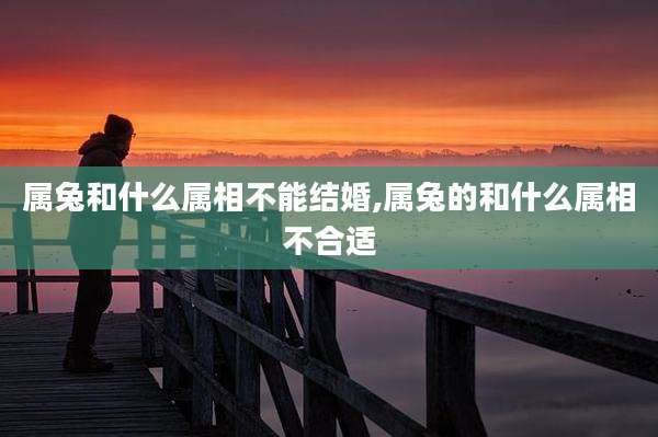 属兔和什么属相不能结婚,属兔的和什么属相不合适