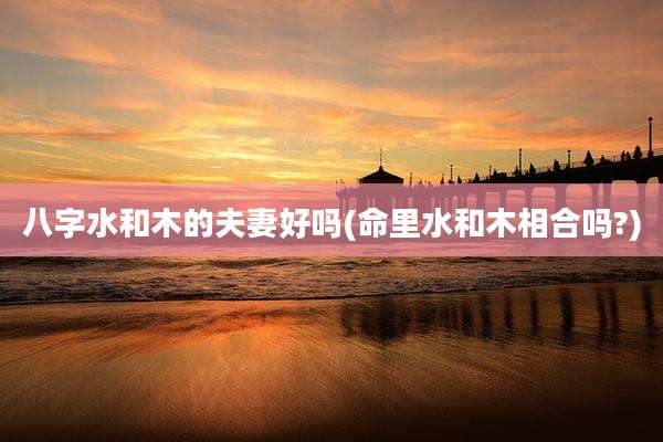 八字水和木的夫妻好吗(命里水和木相合吗?)