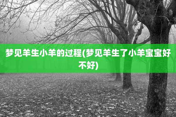 梦见羊生小羊的过程(梦见羊生了小羊宝宝好不好)