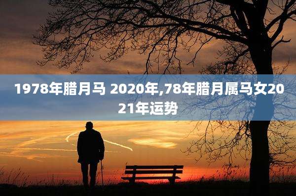 1978年腊月马 2020年,78年腊月属马女2021年运势