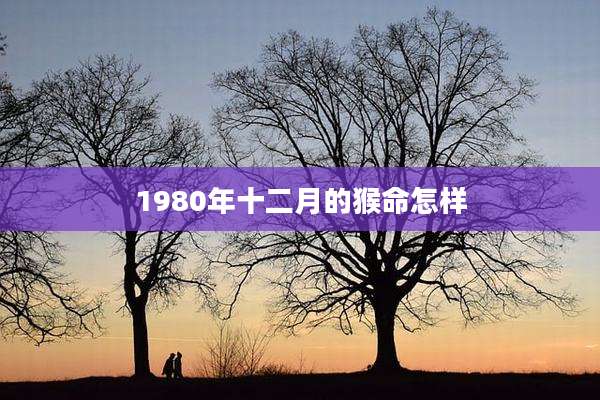 1980年十二月的猴命怎样