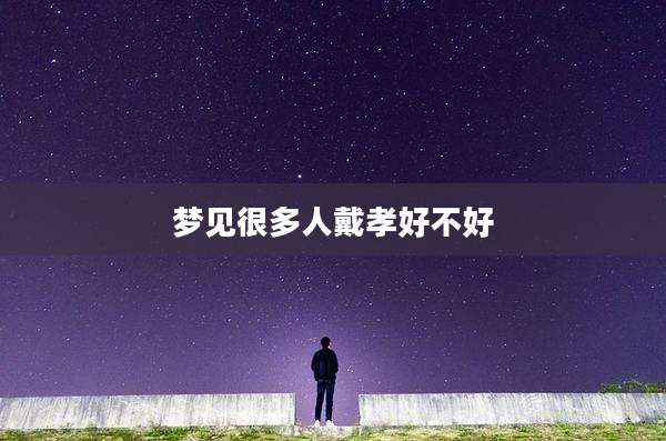 梦见很多人戴孝好不好