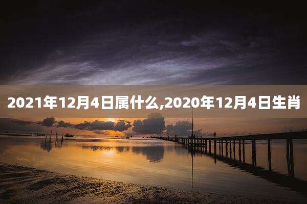 2021年12月4日属什么,2020年12月4日生肖