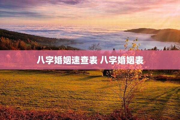 八字婚姻速查表 八字婚姻表