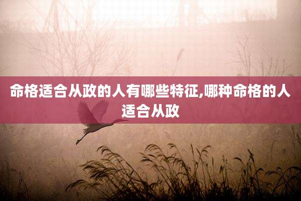 命格适合从政的人有哪些特征,哪种命格的人适合从政