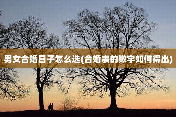 男女合婚日子怎么选(合婚表的数字如何得出)