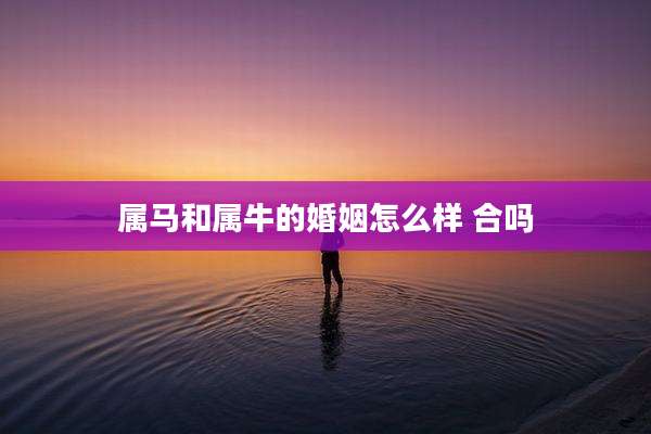 属马和属牛的婚姻怎么样 合吗