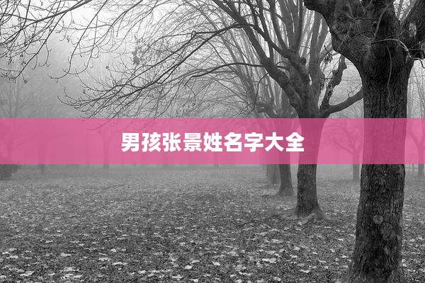 男孩张景姓名字大全