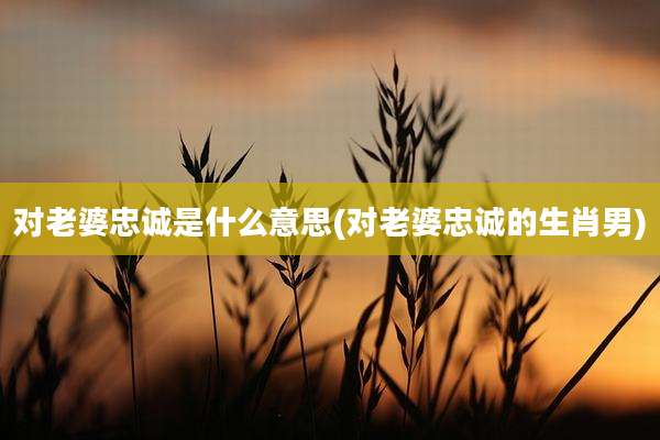 对老婆忠诚是什么意思(对老婆忠诚的生肖男)