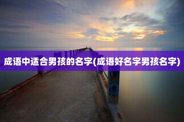 成语中适合男孩的名字(成语好名字男孩名字)