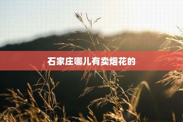石家庄哪儿有卖烟花的