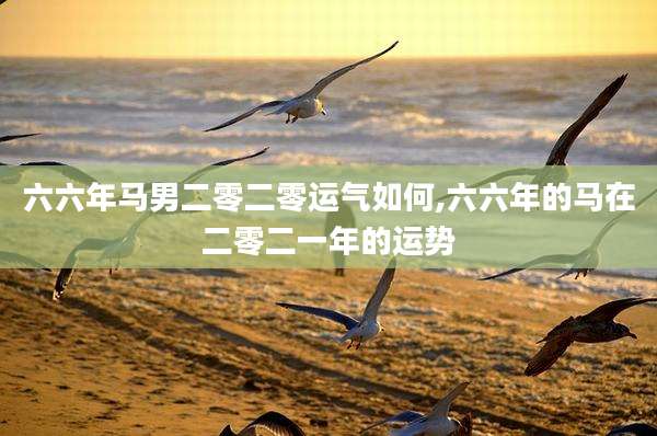 六六年马男二零二零运气如何,六六年的马在二零二一年的运势
