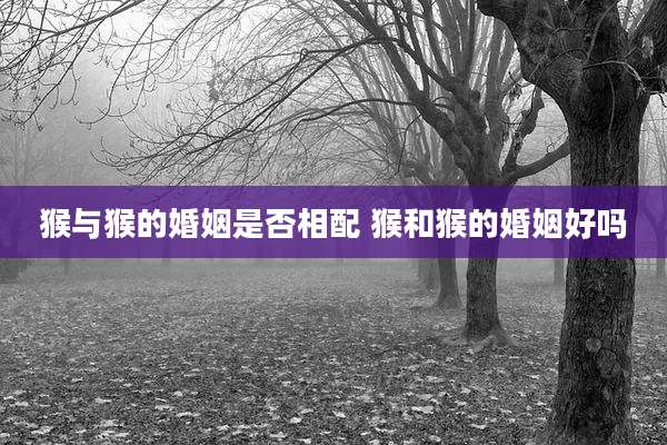 猴与猴的婚姻是否相配 猴和猴的婚姻好吗