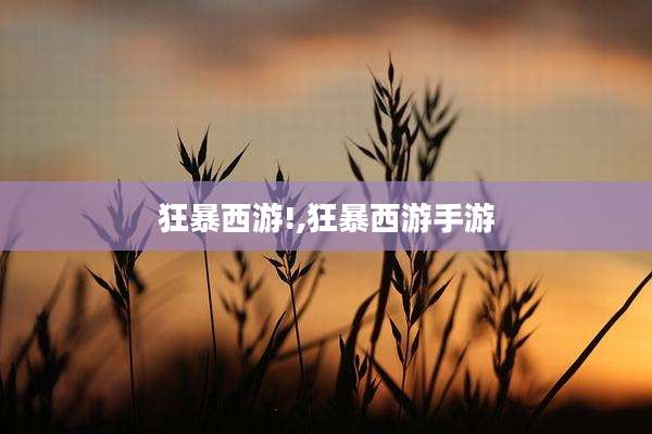 狂暴西游!,狂暴西游手游