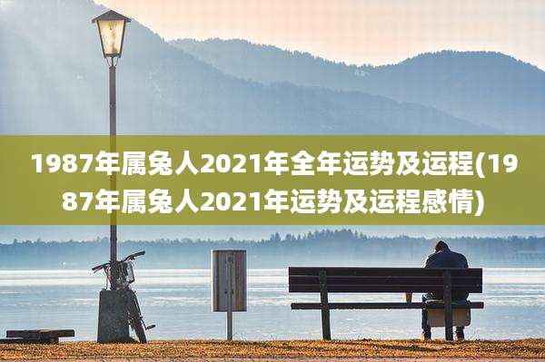 1987年属兔人2021年全年运势及运程(1987年属兔人2021年运势及运程感情)