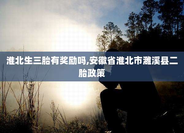 淮北生三胎有奖励吗,安徽省淮北市濉溪县二胎政策