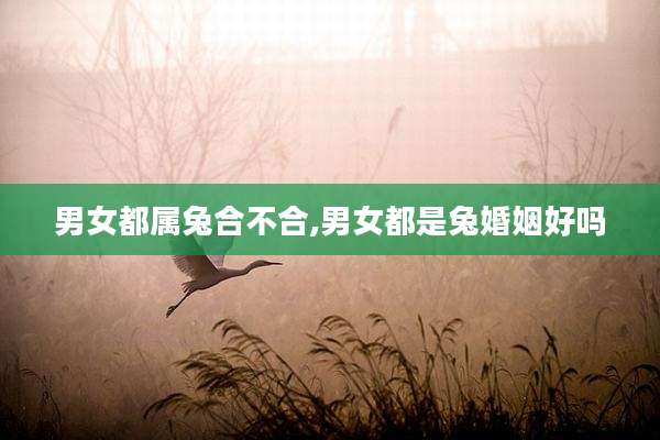 男女都属兔合不合,男女都是兔婚姻好吗