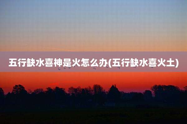 五行缺水喜神是火怎么办(五行缺水喜火土)