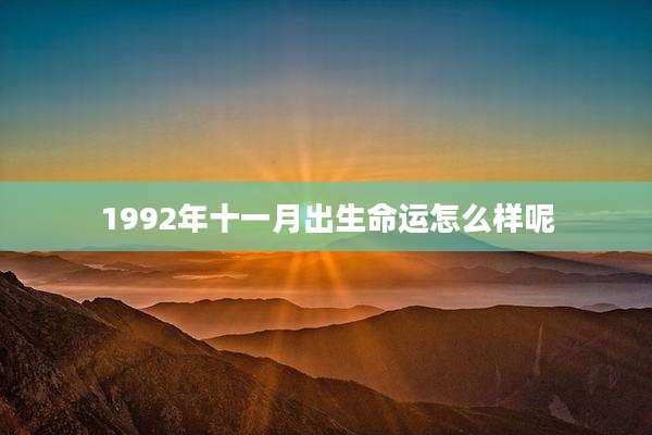 1992年十一月出生命运怎么样呢
