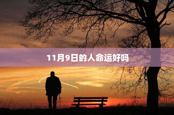 11月9日的人命运好吗