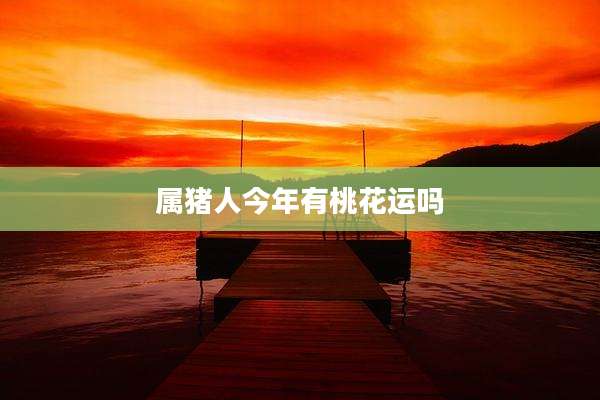 属猪人今年有桃花运吗
