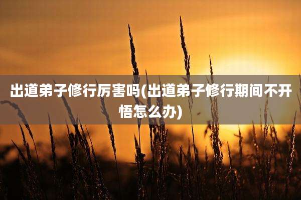 出道弟子修行厉害吗(出道弟子修行期间不开悟怎么办)