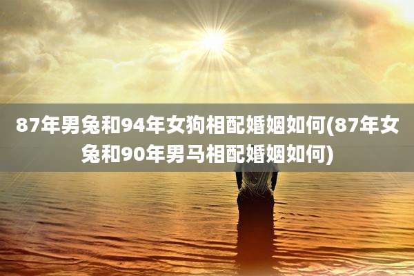 87年男兔和94年女狗相配婚姻如何(87年女兔和90年男马相配婚姻如何)