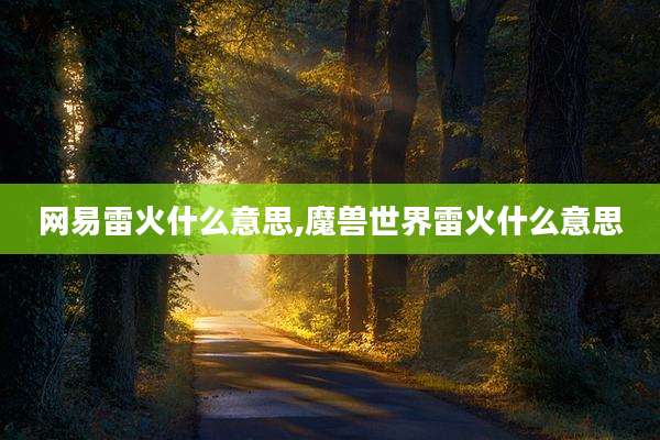 网易雷火什么意思,魔兽世界雷火什么意思
