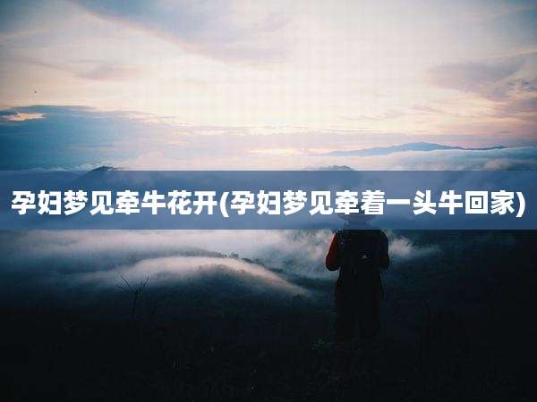 孕妇梦见牵牛花开(孕妇梦见牵着一头牛回家)