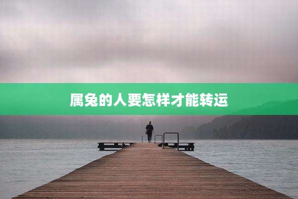 属兔的人要怎样才能转运