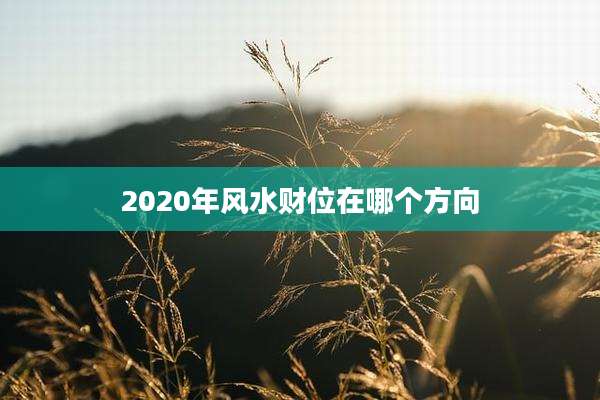 2020年风水财位在哪个方向