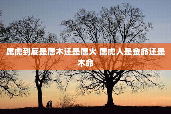 属虎到底是属木还是属火 属虎人是金命还是木命