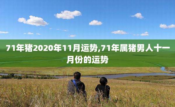 71年猪2020年11月运势,71年属猪男人十一月份的运势
