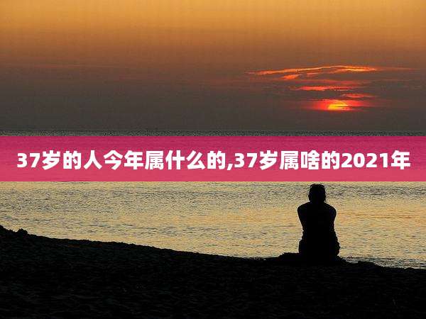 37岁的人今年属什么的,37岁属啥的2021年