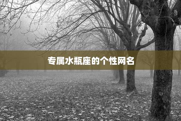 专属水瓶座的个性网名