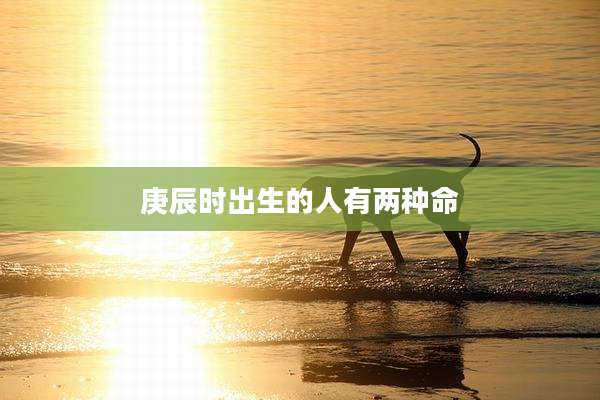 庚辰时出生的人有两种命