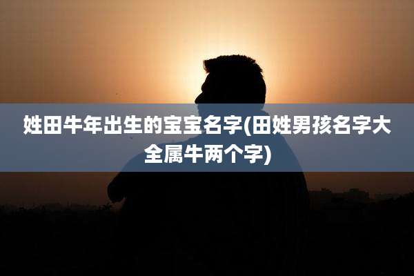姓田牛年出生的宝宝名字(田姓男孩名字大全属牛两个字)