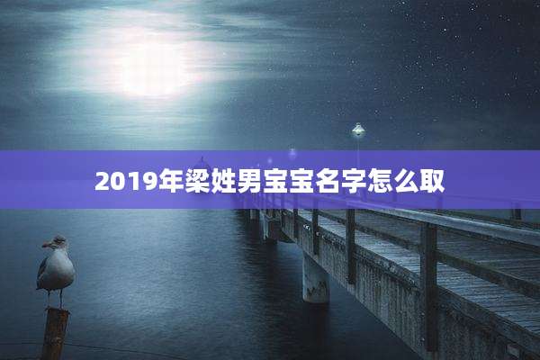 2019年梁姓男宝宝名字怎么取