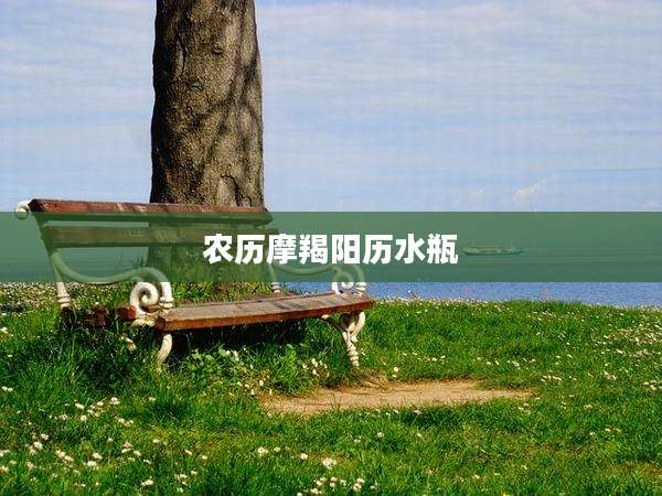 农历摩羯阳历水瓶
