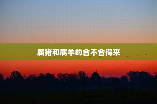 属猪和属羊的合不合得来