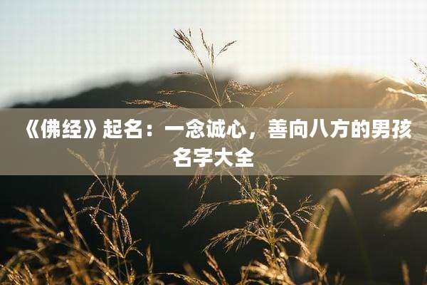《佛经》起名:一念诚心,善向八方的男孩名字大全
