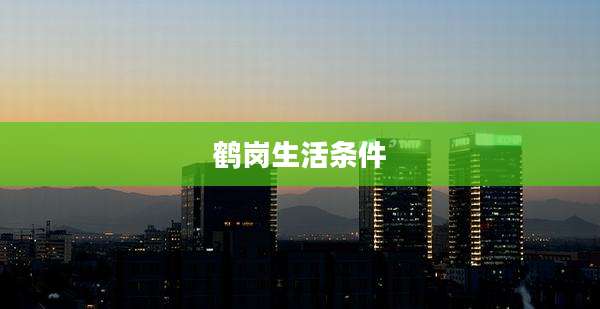 鹤岗生活条件