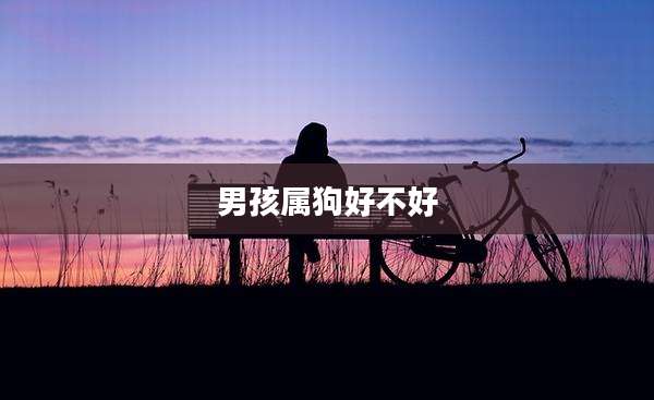 男孩属狗好不好